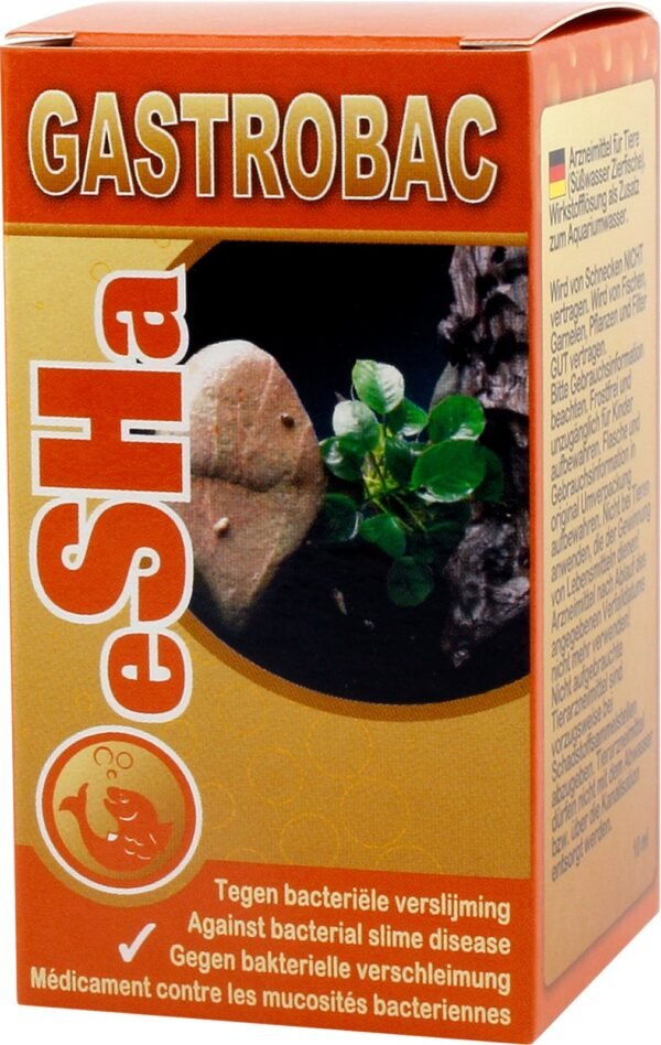 WhatsApp Image 2025-12-22 at 10.19.51