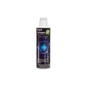 Discusfood- Catappa Royal for 5000 ltrs (500 ml) - Image 1