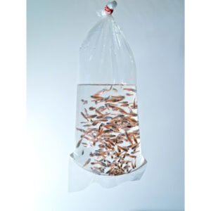 Fish transport bags (round bottom seam) 500mmx800mmx0,08mm(100 units) - Image 1