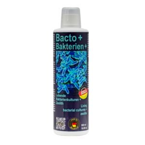 Discusfood- Bacto + (500ml) - Image 1